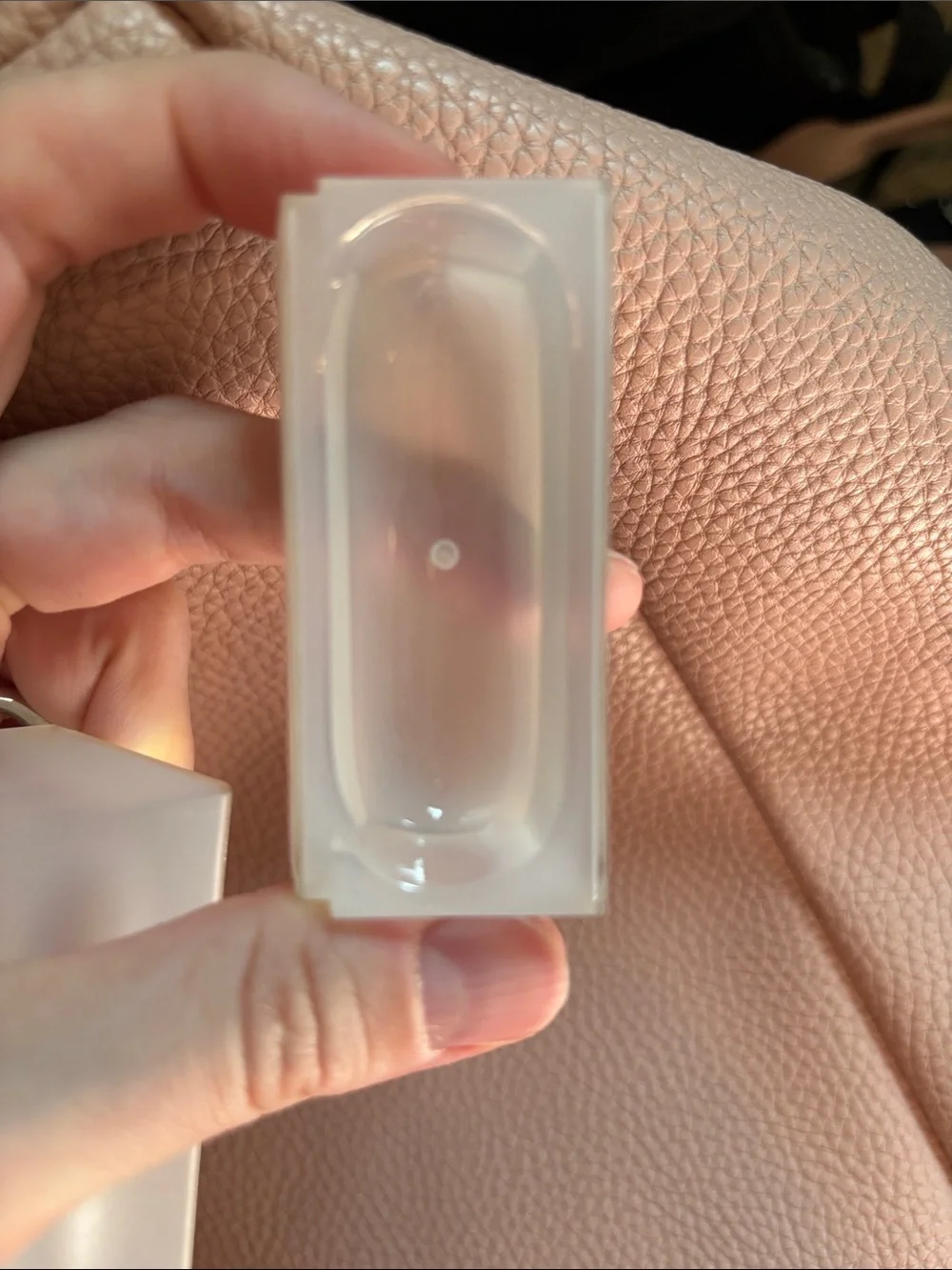 Flaunt airpod case